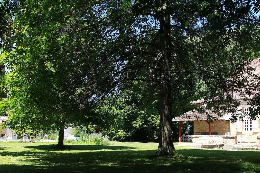 La Chartreuse Maison D Artistes Bergerac Eksteriør billede