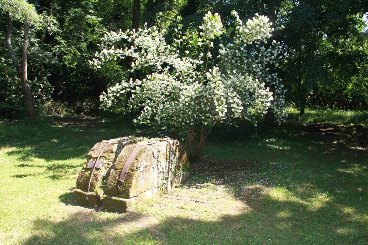 La Chartreuse Maison D Artistes Bergerac Eksteriør billede