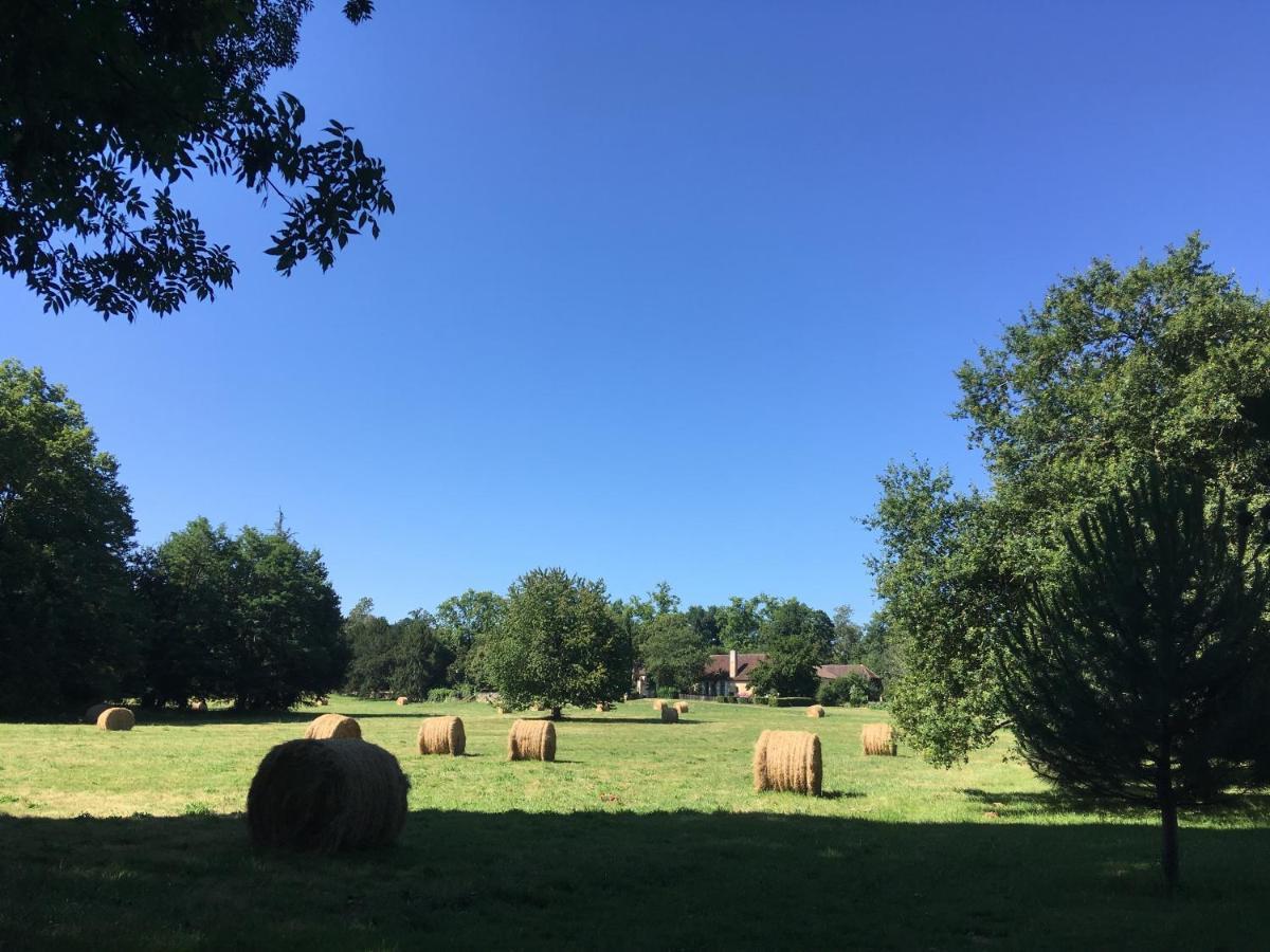 La Chartreuse Maison D Artistes Bergerac Eksteriør billede