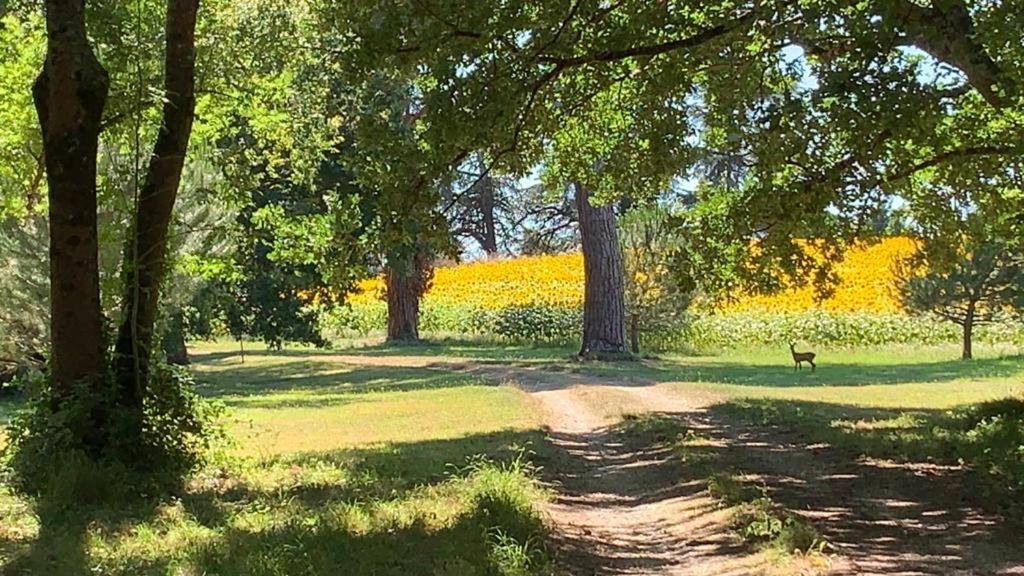 La Chartreuse Maison D Artistes Bergerac Eksteriør billede